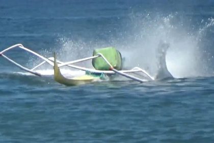Viral! Festival Penyu 2025 di Polewali Mandar: Heboh Perahu Balap Tanpa Awak Berputar Kembali ke Joki Usai Terjatuh